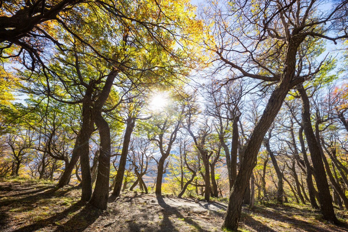 Ep. 640 : เมื่อเราเข้าเฝ้าพระเจ้าผู้ทรงพระสิริ