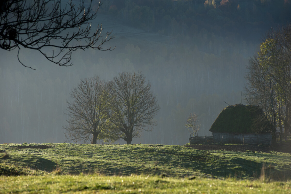 Ep. 630 : เมื่อเราใช้ทั้งความเชื่อและความคิด