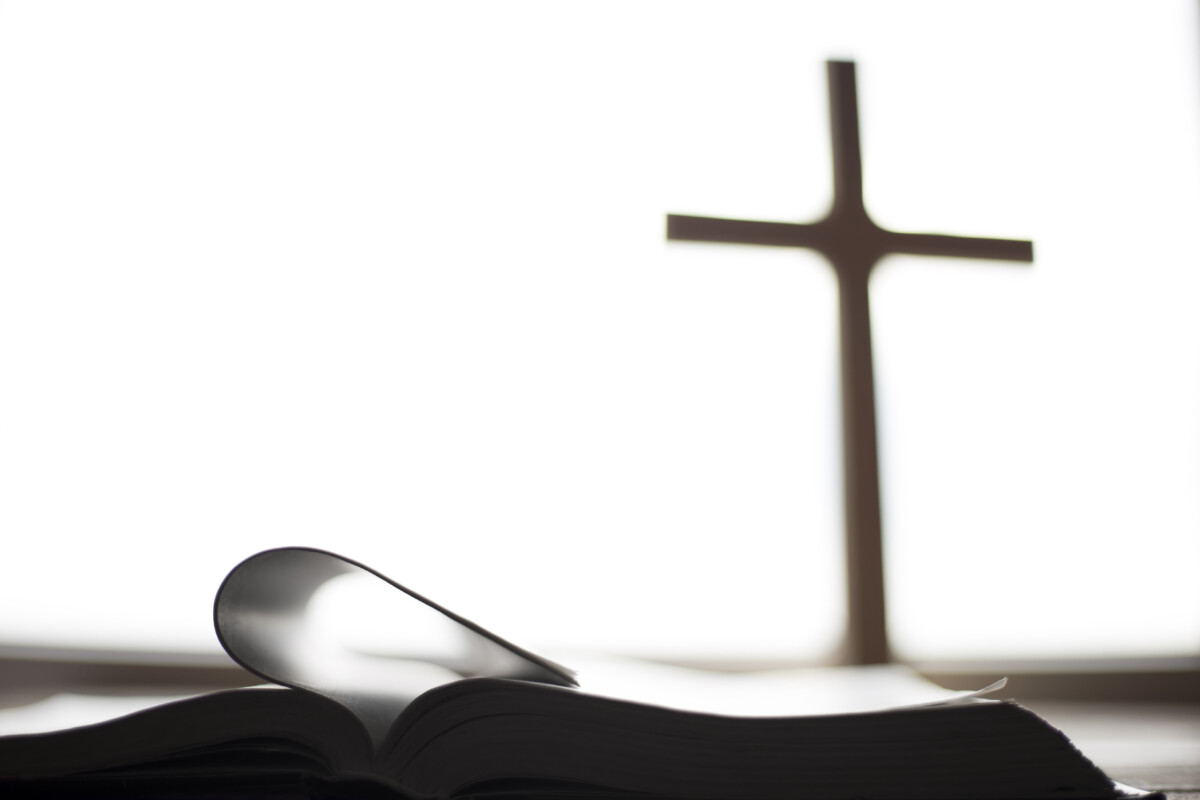 Ep. 646 : เมื่อเราตอบสนองอย่างที่เป็น