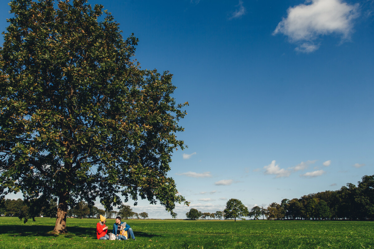 Ep. 940 ตอน :••เมื่อเรายังตั้งใจจะก้าวเดินอย่างสัตย์ซื่อ